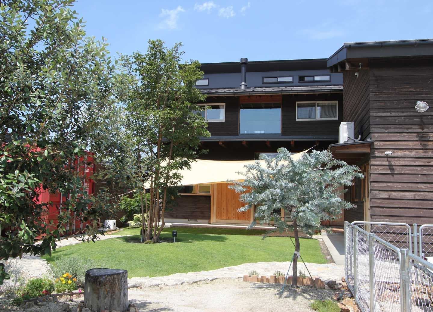 起伏のある芝張りとアオダモ